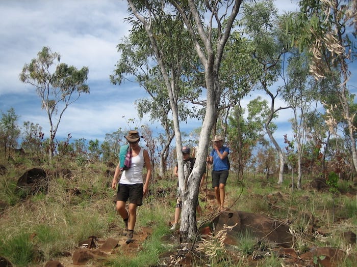 The long walk down to Bell Gorge. It's worth the walk!