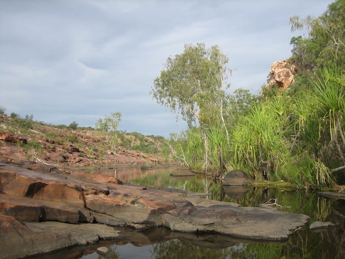 Bell Creek, Bell Gorge. Love the pandanus palms!