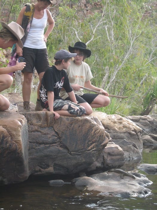 Checking out a goanna in Bell Creek, Bell Gorge.