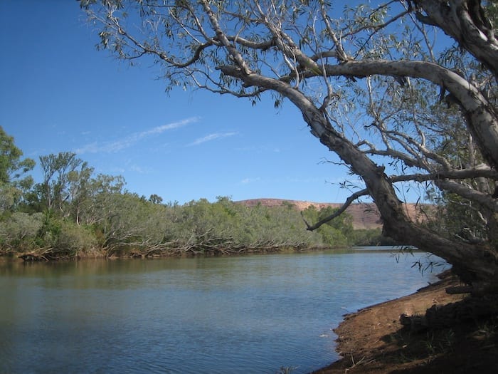 The Fitzroy River, Mornington Wildlife Sanctuary.