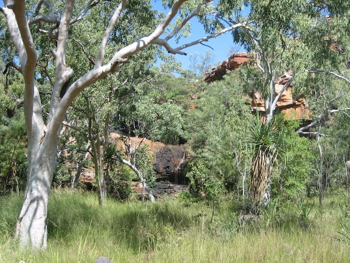 Magnificent Galvans Gorge appears through the scrub.