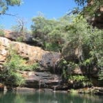 Giant boab tree keeps watch over Galvans Gorge.