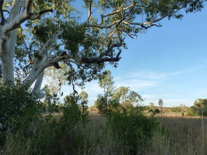 Looking south from Annie Creek at Mornington Wilderness Camp.