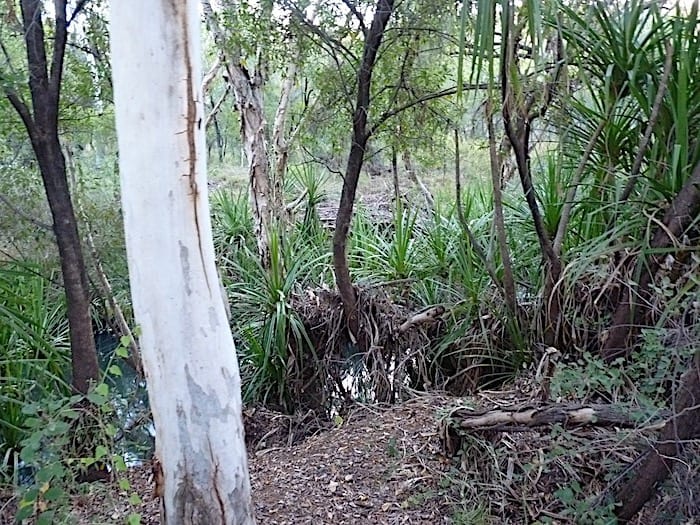 Annie Creek, Mornington Wilderness Camp.