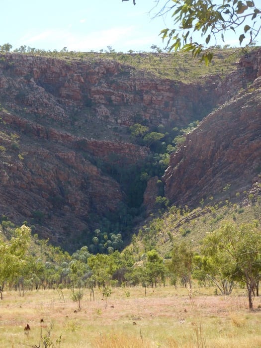 Remnant rainforest amongst the rocks, Mornington Wildlife Sanctuary.