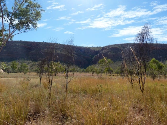 King Leopold Range and spinifex plains, Mornington Wildlife Sanctuary.