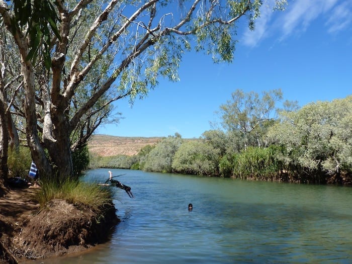 Swimming in the Fitzroy River, Mornington Wildlife Sanctuary.