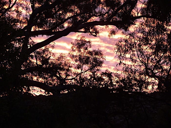 Magnificent sunset at Mornington Wilderness Camp.