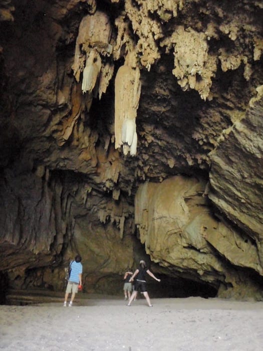 Huge stalactites, Tunnel Creek