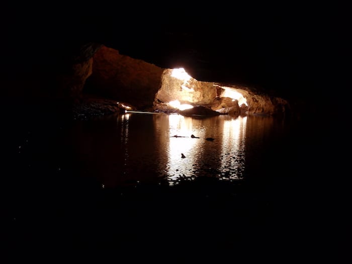 Calm and peaceful, deep in Tunnel Creek