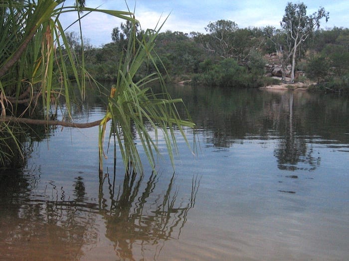 Manning River at Mount Barnett Campground.