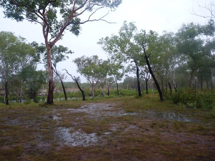 Next morning, the rain was still pouring down at King Edward River Campground. Kalumburu Road.