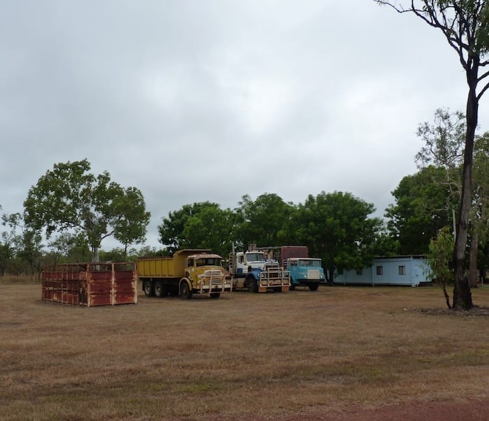 These 3 trucks must be built tough if they survived years of pounding over Kalumburu Road. Drysdale River Station.