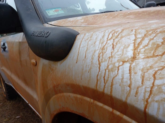 The Pajero AFTER it was washed! Drysdale River Station.