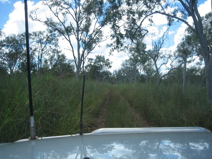 The old Wyndham to Halls Creek Road is quite overgrown. Wyndham Western Australia.