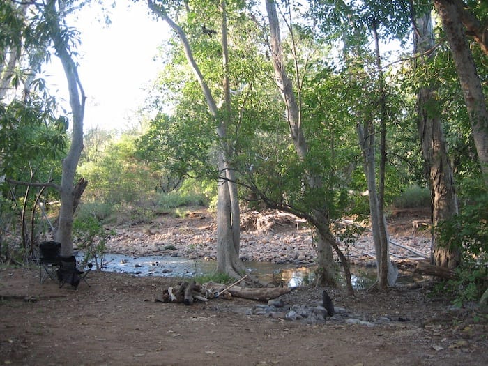 View from our camp. Plenty of firewood for a campfire. El Questro Station