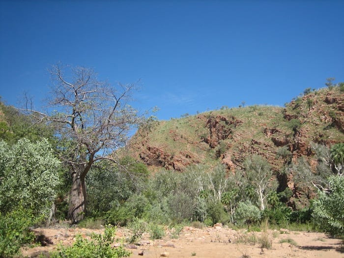 Moonshine Gorge, El Questro Station Kimberleys.