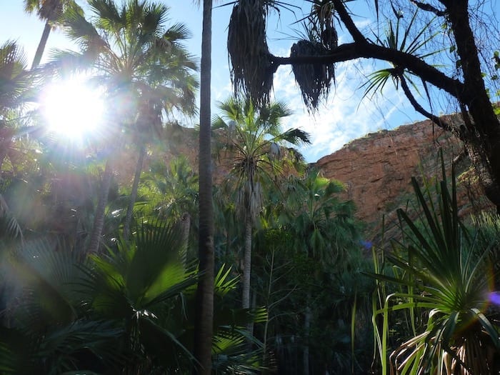 Magnificent backdrop to Zebedee Springs. El Questro Station Kimberleys.