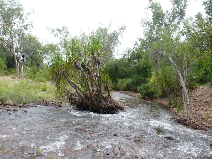 Chamberlain Gorge, El Questro Station Kimberleys.