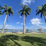 The Cooktown QLD foreshore, overlooking the Endeavour River.