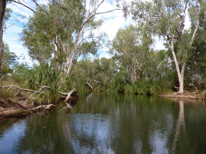 On one of the river crossings on the road to Adels Grove.