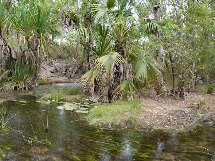 Precious water on the way to Adels Grove.