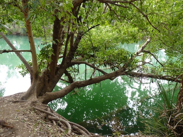 Reflections on Lawn Hill Creek. Adels Grove.