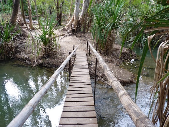 Foot bridge along the walking track at Adels Grove.