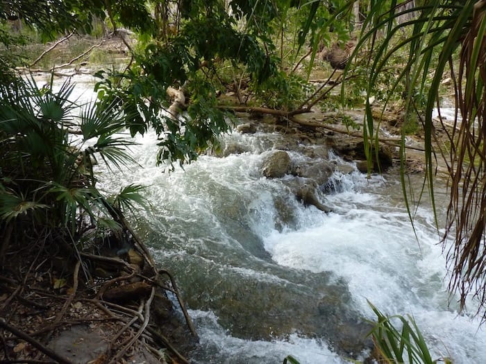 This gives you an idea of the volume of water flowing down Lawn Hill Creek. Adels Grove.