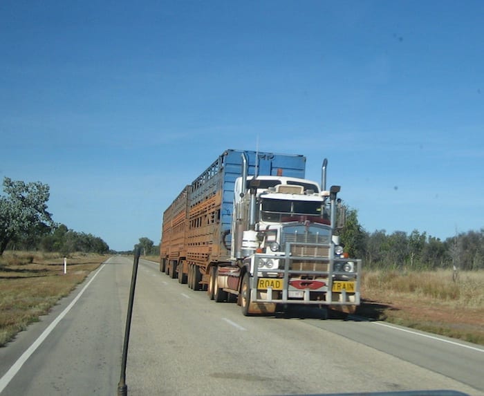 A triple road train carrying cattle. Stuart Highway, Northern Territory. Mataranka To Tennant Creek.