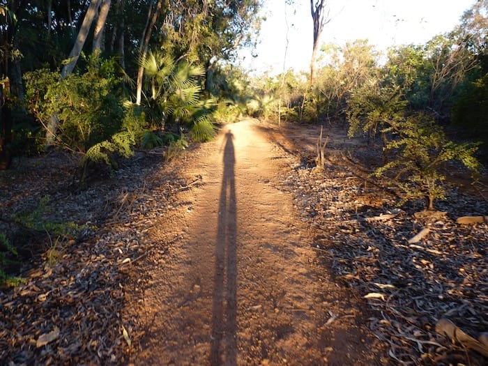 Long shadows in the afternoon sun, Mataranka Thermal Pools.