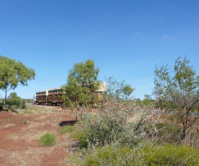 Road train on the way to the Devils Marbles.