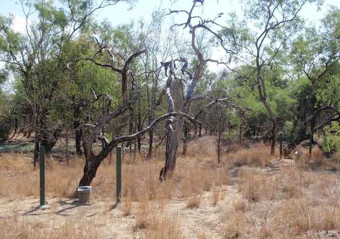 Burke and Wills Camp 199, near Normanton.