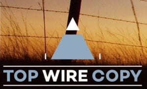 Top Wire Copy Logo