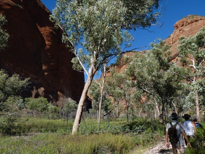 Mini Palms Gorge, Purnululu National Park.