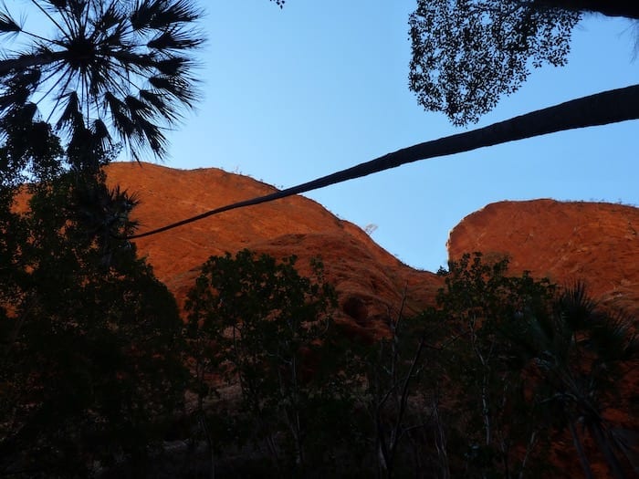 Mini Palms Gorge, Purnululu National Park.