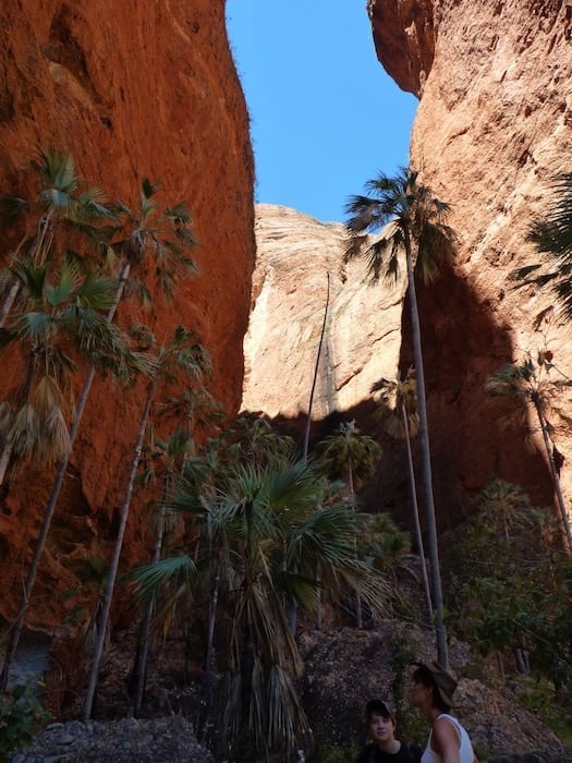 Mini Palms Gorge, Purnululu National Park.