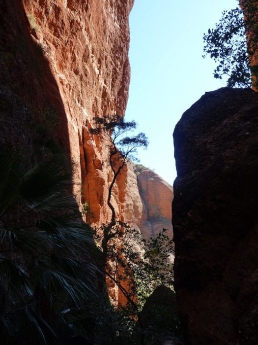 Mini Palms Gorge, Purnululu National Park.