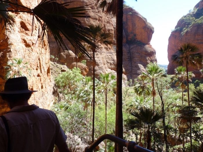 Mini Palms Gorge, Purnululu National Park.