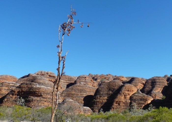 Beehive domes of the Bungle Bungles, Purnululu National Park.