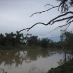 Darling River at Kidman's Camp, Bourke.