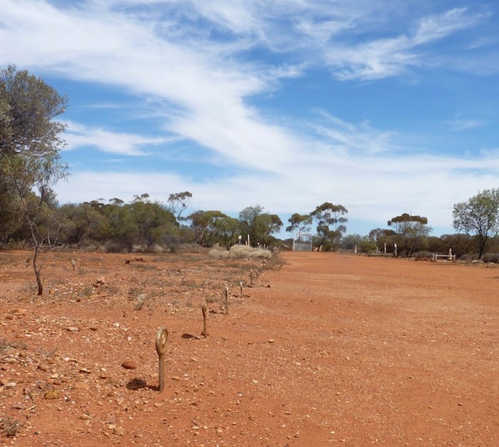 A row of unmarked graves, Menzies Cemetery. Golden Quest Discovery Trail.