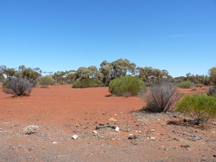 Typical goldfields country. Golden Quest Discovery Trail.