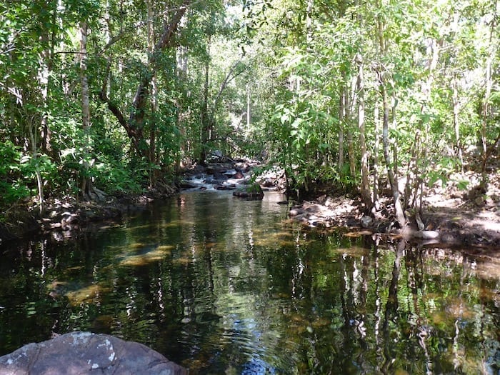 Creek crossing near Florence Falls, Litchfield National Park.