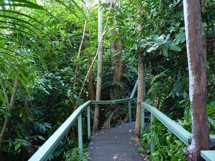 Rainforest walk at Wangi Falls, Litchfield National Park.