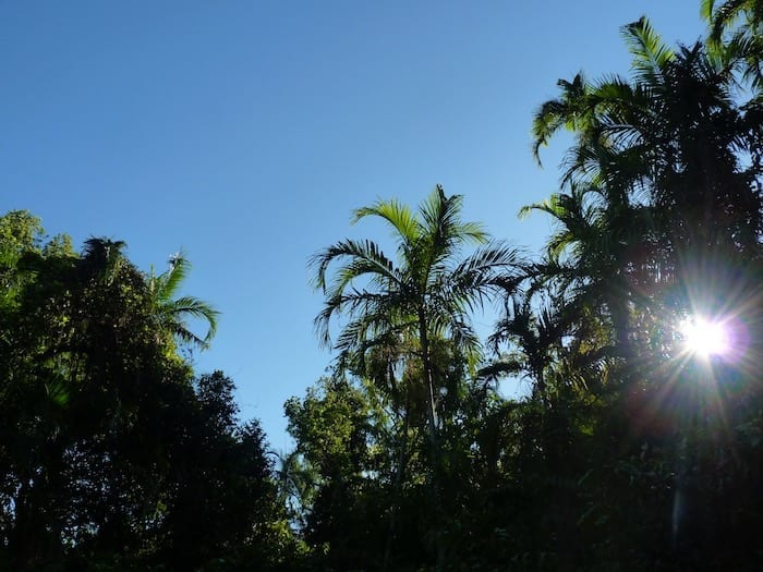 Rainforest walk at Wangi Falls, Litchfield National Park.