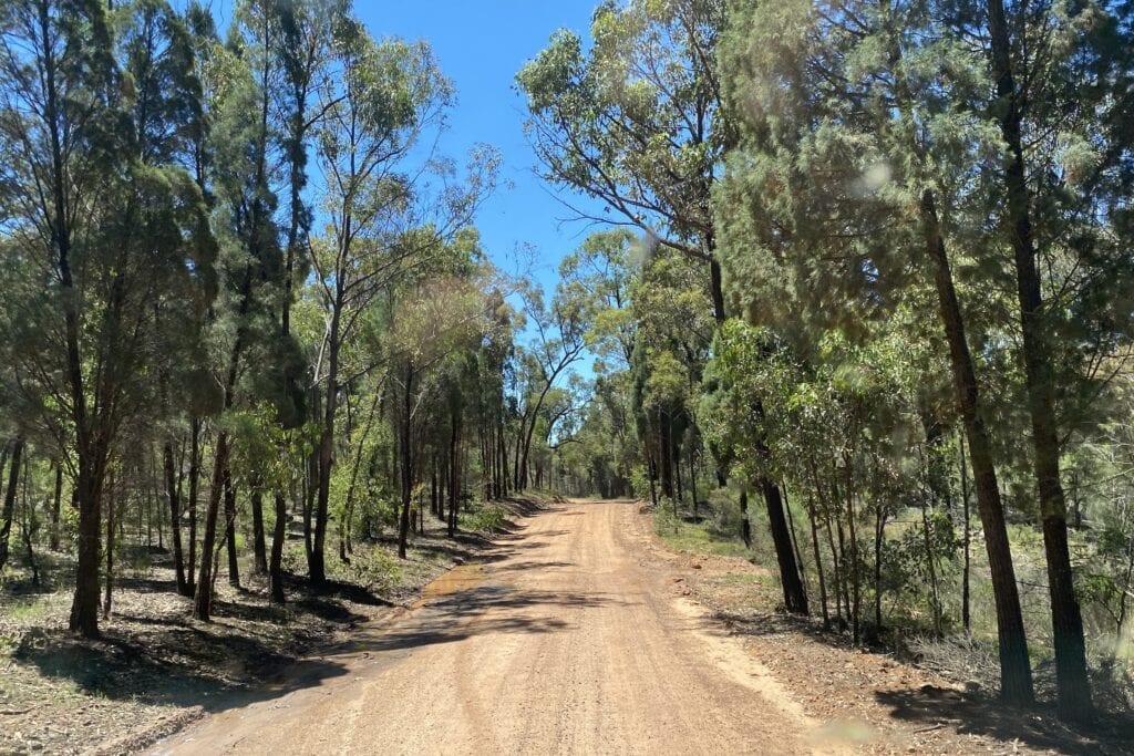 Driving in through the bush on the dirt road to the campgrounds at Goulburn River National Park.