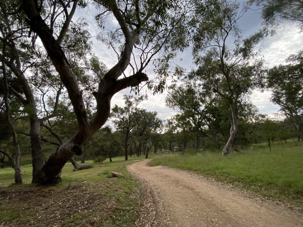 The shady campground at Goulburn River National Park.