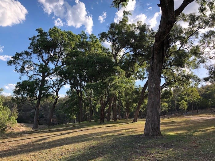 Shady campsites at Big River Campground, Goulburn River National Park.