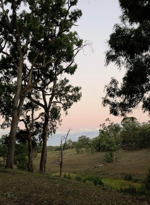 The colours of sunset in the east, Goulburn River National Park.